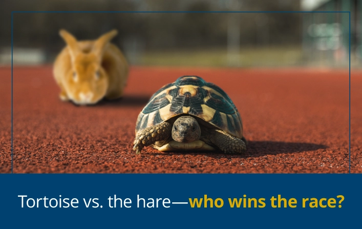 Tortoise vs. the hare—who wins the race?